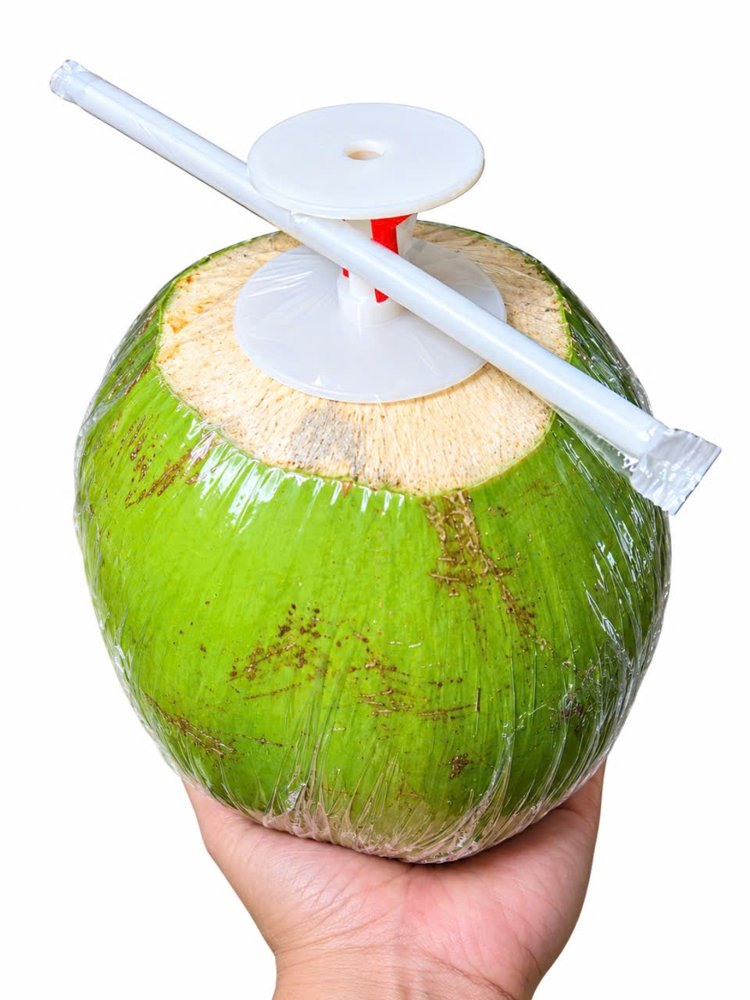 Nút dừa khóa ngắn với ống hút treo trên nút, gắn trên trái dừa gọt
