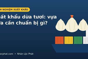 Xuất khẩu dừa tươi sang Trung Quốc và Mỹ: Vựa dừa cần chuẩn bị gì?