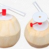Nút Khui Dừa Cao Cấp – Giải Pháp Cho Nhà Vườn Và Xuất Khẩu Dừa