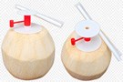 Nút Khui Dừa Cao Cấp – Giải Pháp Cho Nhà Vườn Và Xuất Khẩu Dừa