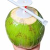 Nút Khui Dừa Cao Cấp – Giải Pháp Cho Nhà Vườn Và Xuất Khẩu Dừa