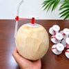 Nút Khui Dừa Cao Cấp – Giải Pháp Cho Nhà Vườn Và Xuất Khẩu Dừa