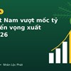 Dừa Việt Nam vượt mốc tỷ USD: Bức tranh xuất khẩu và triển vọng 2026