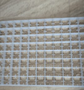 Khay nhựa ấp trứng chuyên dụng dành cho máy ấp (loại 88 trứng)