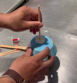 Nút Khui Dừa Cao Cấp – Giải Pháp Cho Nhà Vườn Và Xuất Khẩu Dừa