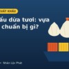Xuất khẩu dừa tươi sang Trung Quốc và Mỹ: Vựa dừa cần chuẩn bị gì?
