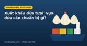 Xuất khẩu dừa tươi sang Trung Quốc và Mỹ: Vựa dừa cần chuẩn bị gì?